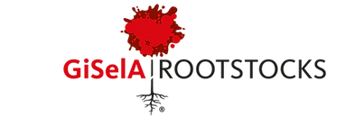 GiSelA® logo