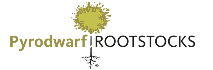 Pyrodwarf® logo